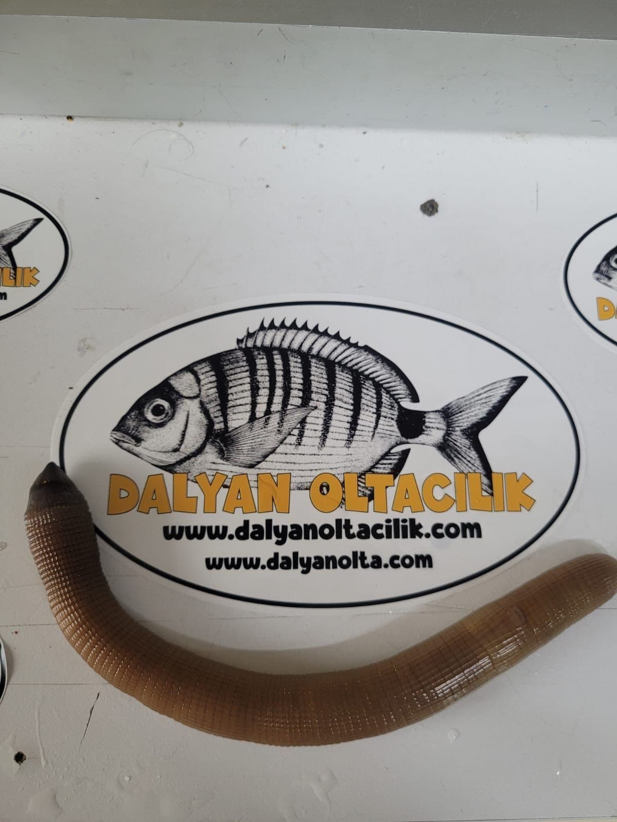 Bibi Yemi Nereden ve Nasıl Çıkarılır?